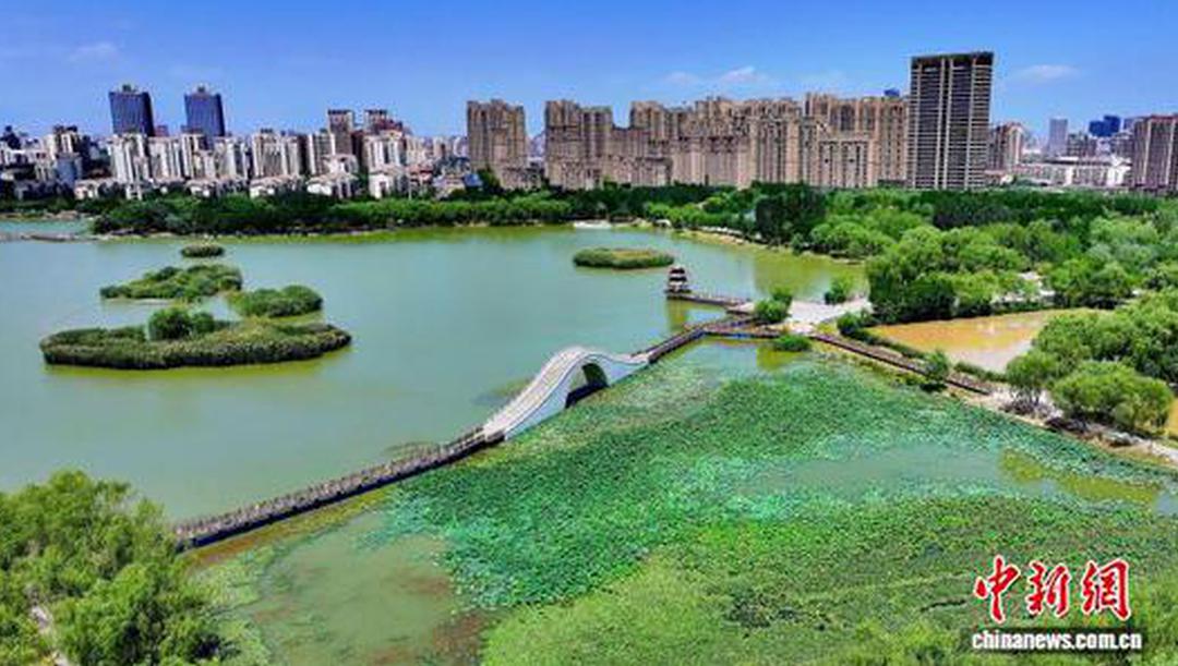 银川：国际湿地城市的生态答卷