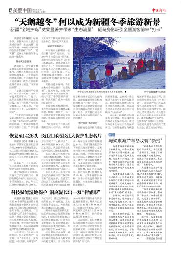 “天鹅越冬”何以成为新疆冬季旅游新景