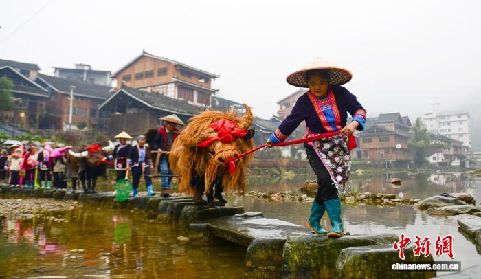 广西龙胜：立春“闹春牛”喜迎春