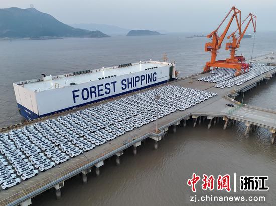 中新网：浙江温州口岸刷新整车单批出口量纪录