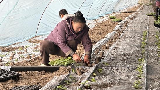 3096d30cd10ccaf45f03eb4cc99e61d2