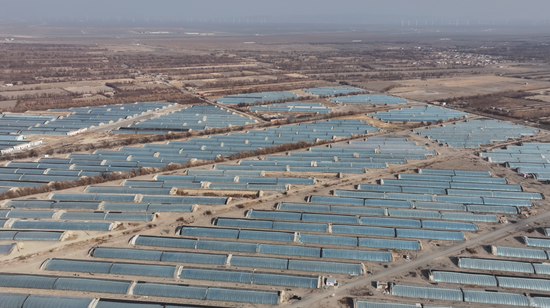 0f5a360dbde5c8d2336d30eba4162b5b