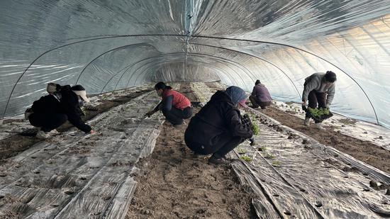 fe29192994672ccff04e556cf84c1ba4