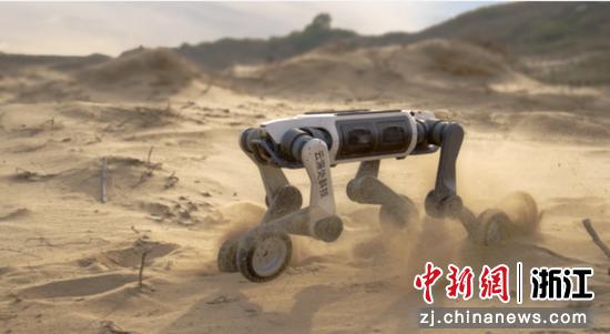 云深处科技的机器人产品。云深处科技供图