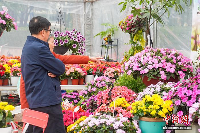 广西南宁：迎春市集年味浓