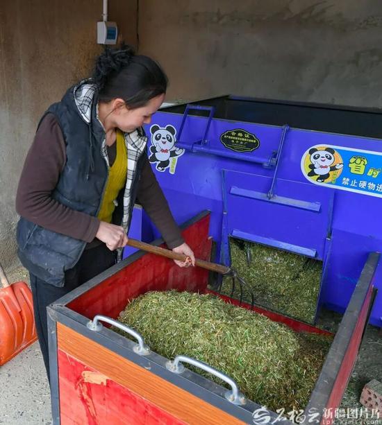 2月13日，木凯热木·麦提斯依提用饲草料搅拌机制作饲料。