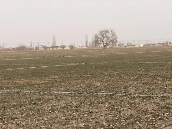 38b83c03bd59fd0cbbcde2d3f6f6efff