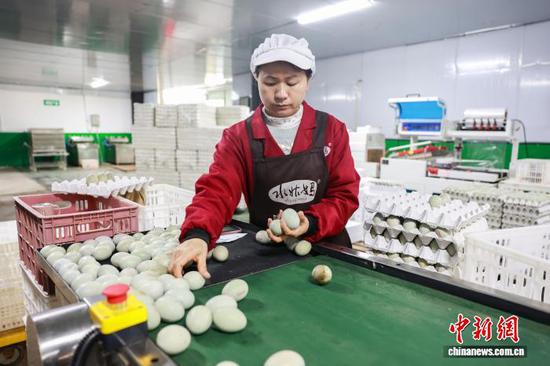 2月23日，工人在三穗县一家食品企业的生产车间赶制三穗鸭蛋产品。龙兴伟 摄