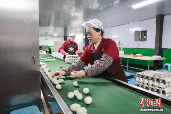 2月23日，工人在三穗县一家食品企业的生产车间赶制三穗鸭蛋产品。龙兴伟 摄