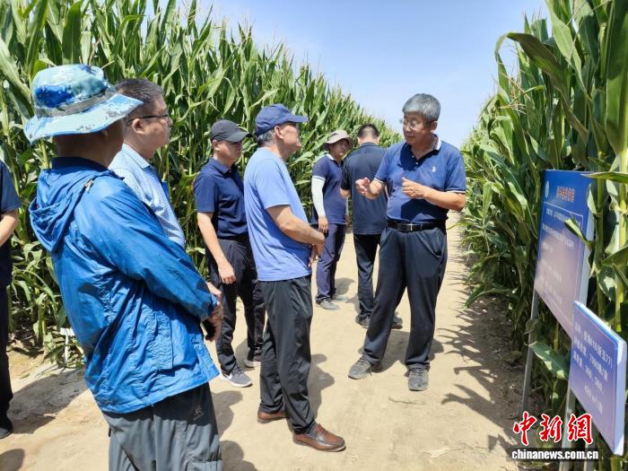 一支科研“国家队”的组团式援疆