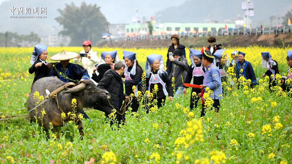 广西河池：“蚂拐节”唤春来 感受浓厚壮族风情