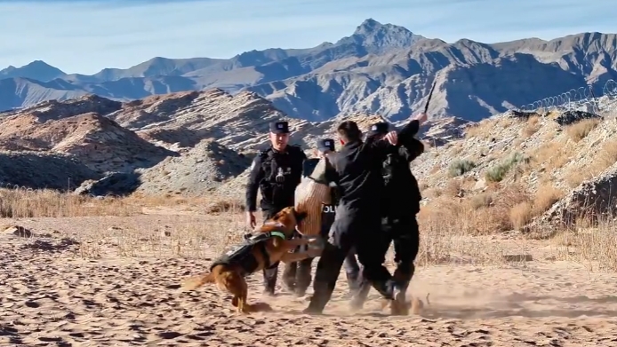 马年练马“犬”，这才是真正的马力“犬”开！