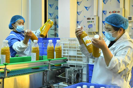 贵州产地农业科技有限公司员工进行产品贴标作业