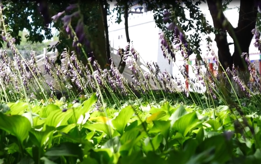 侨乡故事 | “光影使者”邱艳：用镜头与爱心串联起各族民众的幸福