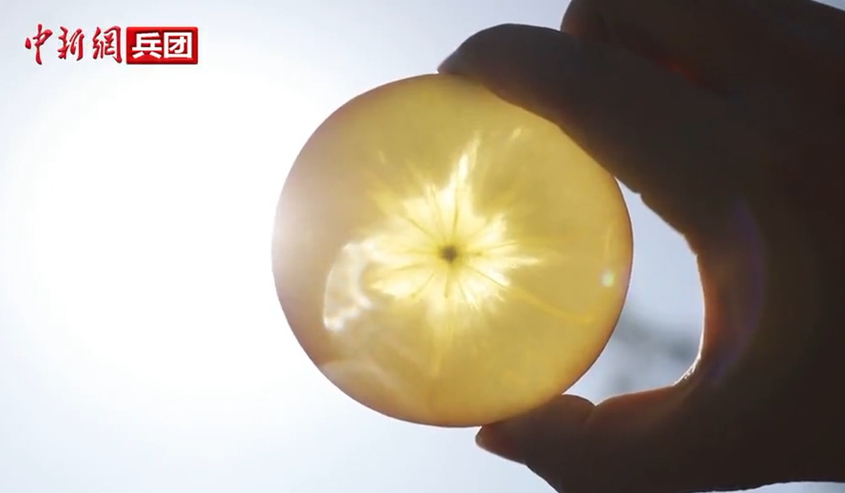 【与你为邻】新疆水果的跨国情缘
