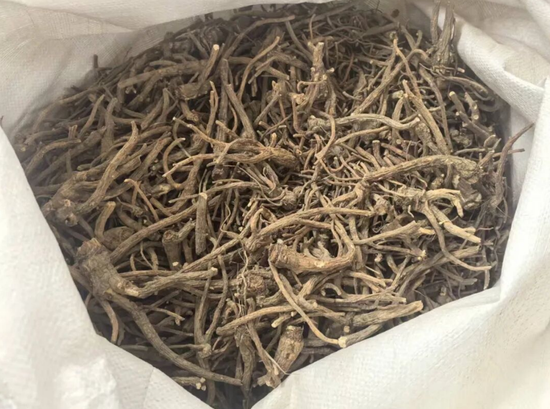 烘干后的前胡打包待外销