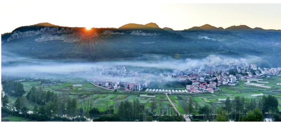 晨雾中的大河镇大桥蔬菜基地