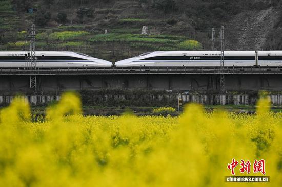 3月5日，动车组列车从渝贵铁路贵州省遵义市汇川区板桥镇境内的油菜花田旁驶过。随着气温回升，汇川区境内的油菜花竞相绽放，田间春意盎然。