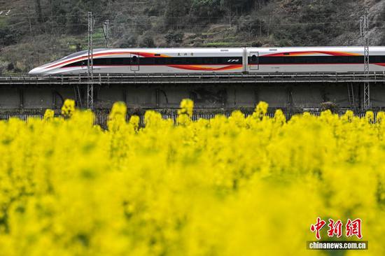 3月5日，动车组列车从渝贵铁路贵州省遵义市汇川区板桥镇境内的油菜花田旁驶过。随着气温回升，汇川区境内的油菜花竞相绽放，田间春意盎然。