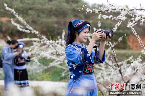 人们在罗甸县罗悃镇响水村蜂糖李种植基地赏花拍照