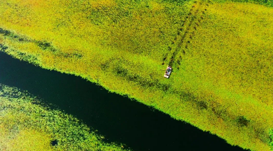 麦盖提县刀郎千岛湖湿地。（资料图）麦盖提县融媒体中心记者 吾斯曼·麦麦提 摄e