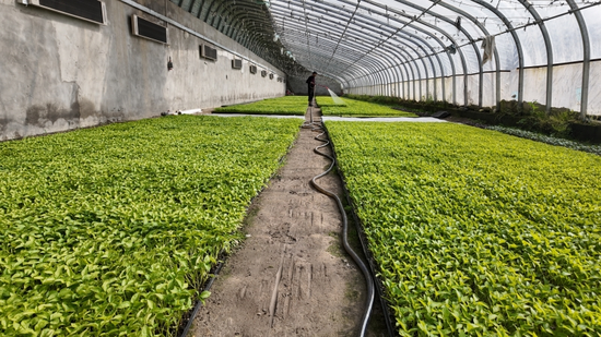 800a5183b5e8d690f208a27827be237b