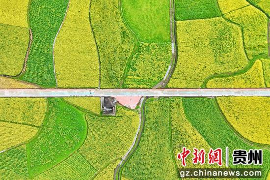 剑河县南明大坝油菜花海。熊兴富 摄