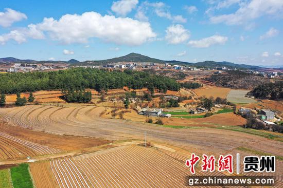 图为3月4日，航拍么站镇平原村马铃薯种植基地基地一角。陈逍 摄