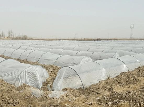 3a507f8380090713fc425e2dd3e56f43