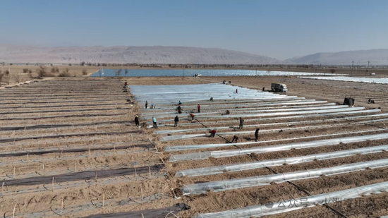 fc146888913a3ebc94ccc2b4592f9527