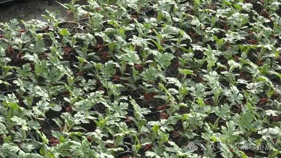 9ace01c6818c3c83d0ac7158f94a38be