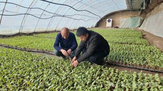 2c327870175ec23cee125471076e26c7