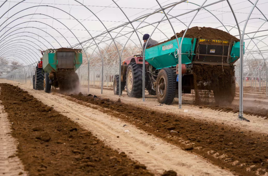 283ff6e3-eef3-4e8d-b6f9-d545dd54a077