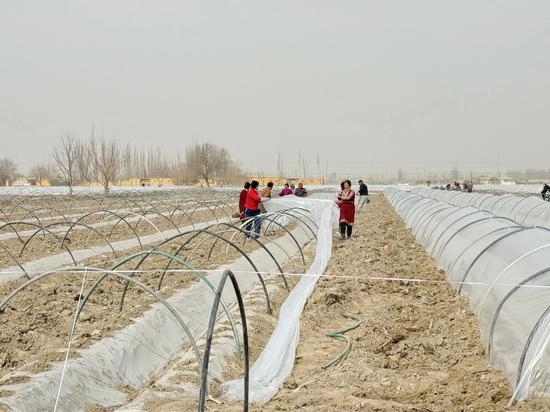 7f1a544fe7178f0406c5a1e692194734