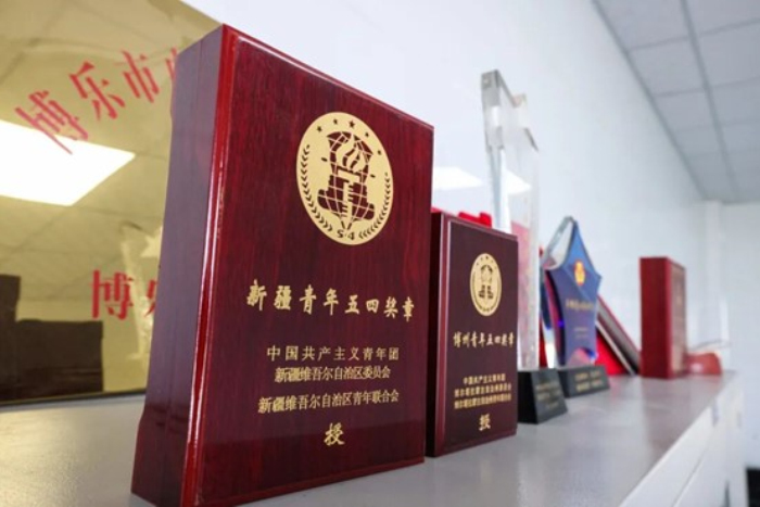 川大毕业回乡蒸馍，她把小花卷卖到了全国！