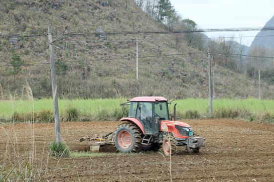 图为贵州省荔波县小七孔镇大豆玉米带状复合种植示范点上，大型旋耕机正在开展机械化翻犁作业。戴友维 摄
