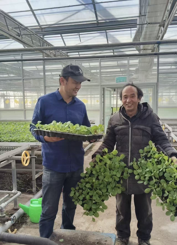 图为：技术员正把培育的苗发放到农户手中