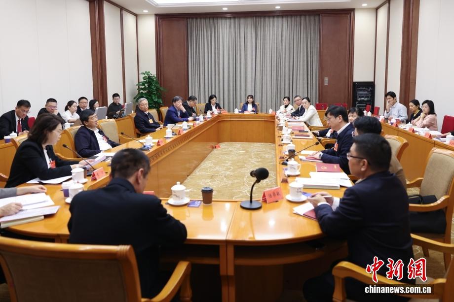 十四届全国人大四次会议广西代表团举行小组会议