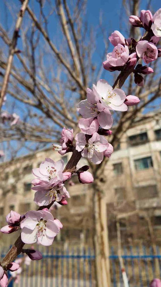 d7c99e3ca46d081730e23ee0eb4f88f0