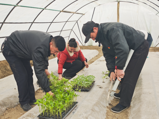 dba868d62678f51874f4cb8a50e655a5