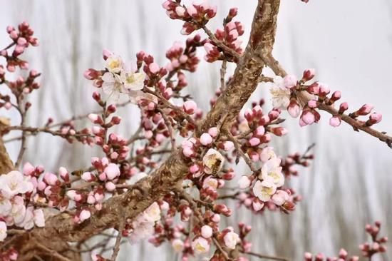 1d0dbbb8369e225ee399b7cff6f0020f