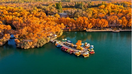 泽普金湖杨国家森林公园。（资料图）