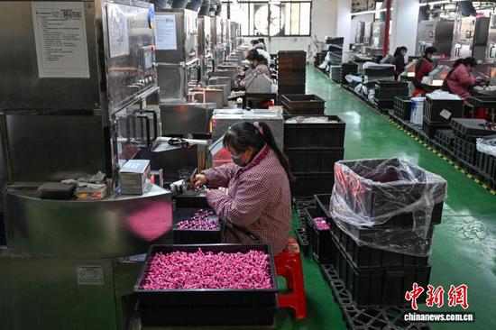 3月10日，工人在贵州省黔南州独山经济开发区的一家玩具生产企业车间加工产品。连日来，独山经济开发区内的多家玩具生产企业满负荷运转，赶制海外订单，以保障市场供应。中新社记者 瞿宏伦 摄