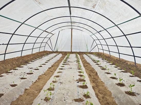 479819bc689d4f4fabcb032a58f4507e