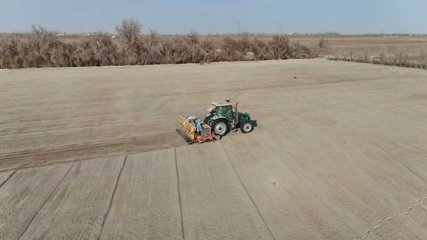 尉犁县抢抓农时忙春播 春小麦播种有序推进