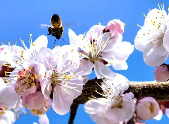 ec40fcb5ba3e7343ccebebe6fede5fb1