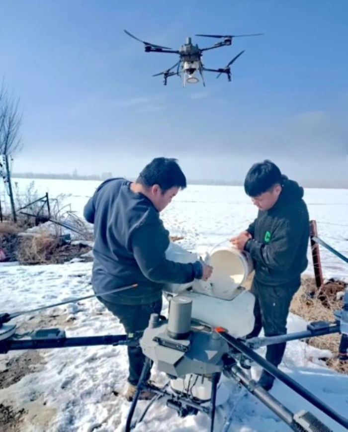 抢抓返青黄金期！博乐麦田开启“破雪追肥”模式