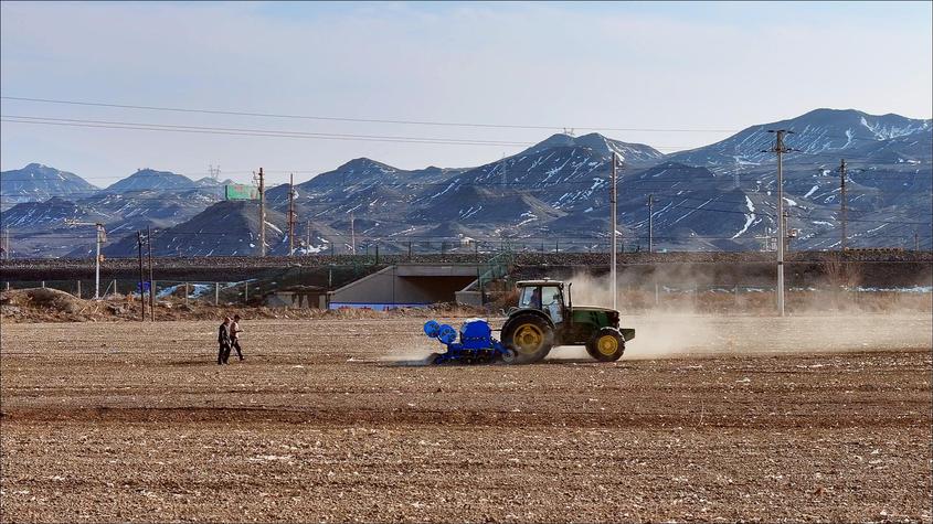 精河县7000亩小麦开播