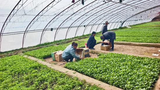 6ef04711465520cc9ad1fa616736a9e1