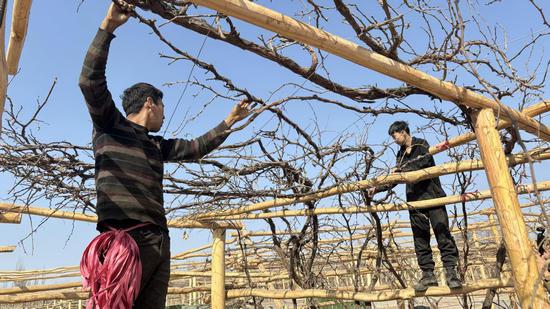 a9d73852bc7f86fb82c652ebdf0ca9ba